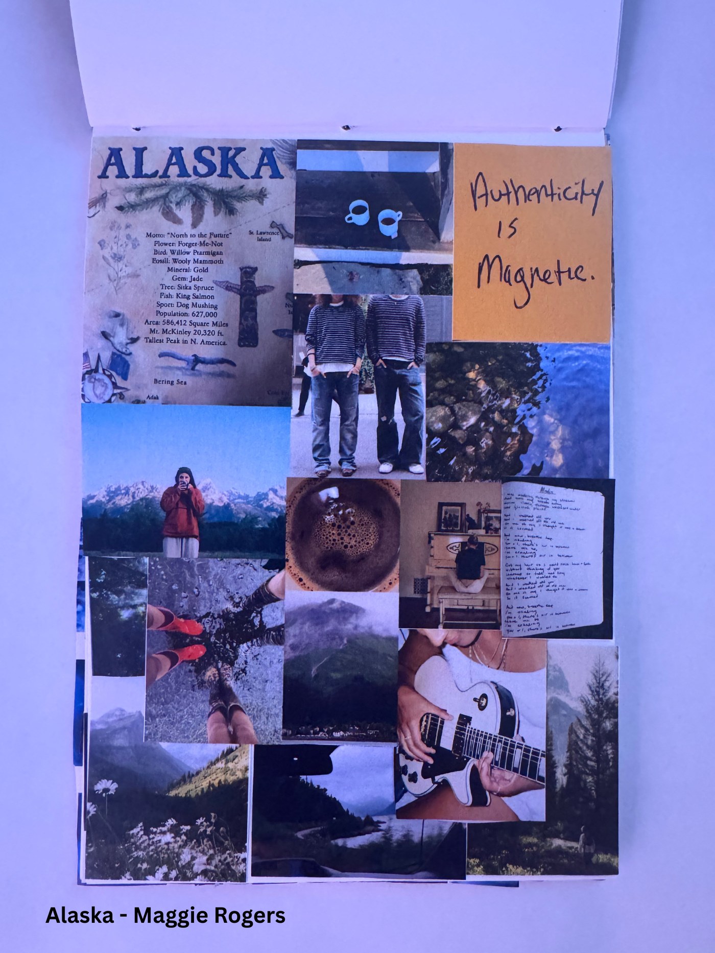 Brand Observation Study 3